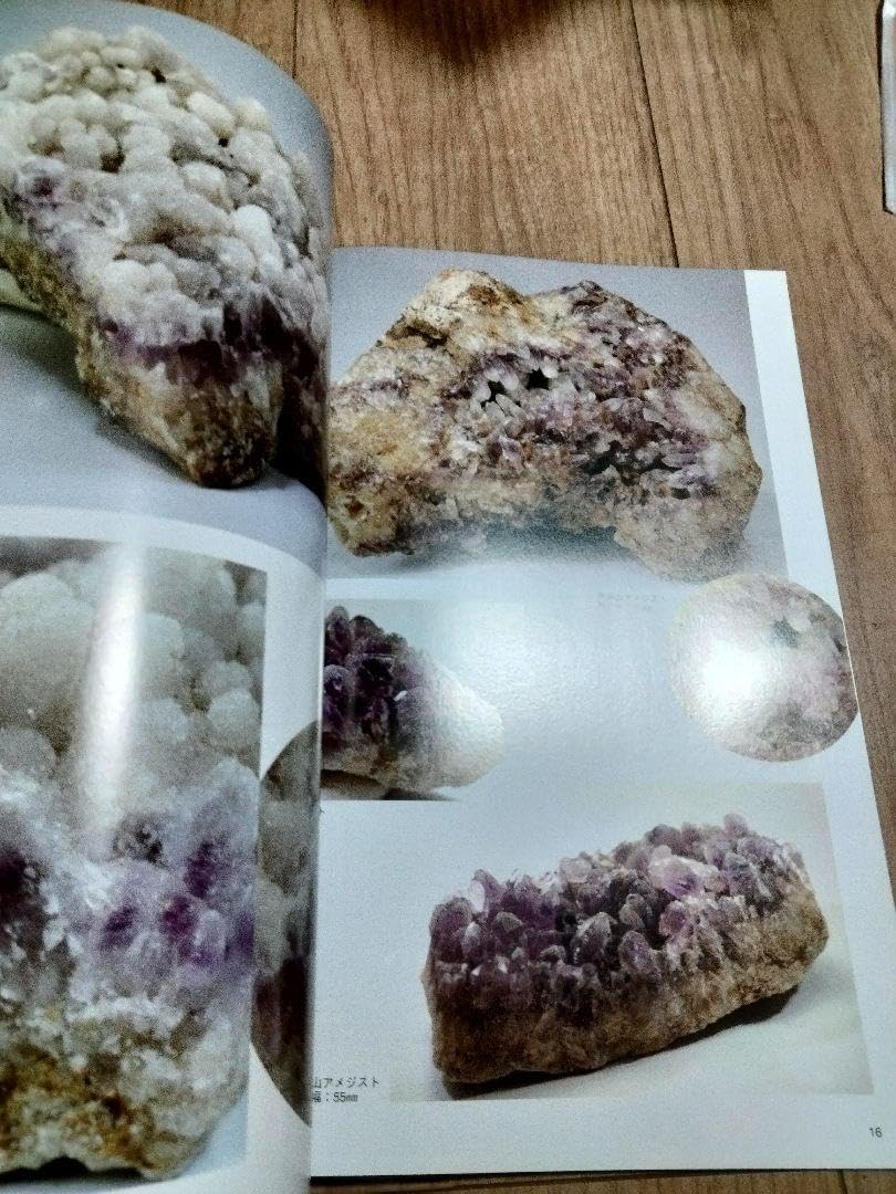 ミネラ (MINERA) No.6地球の不思議発見!アメジスト鉱物化石